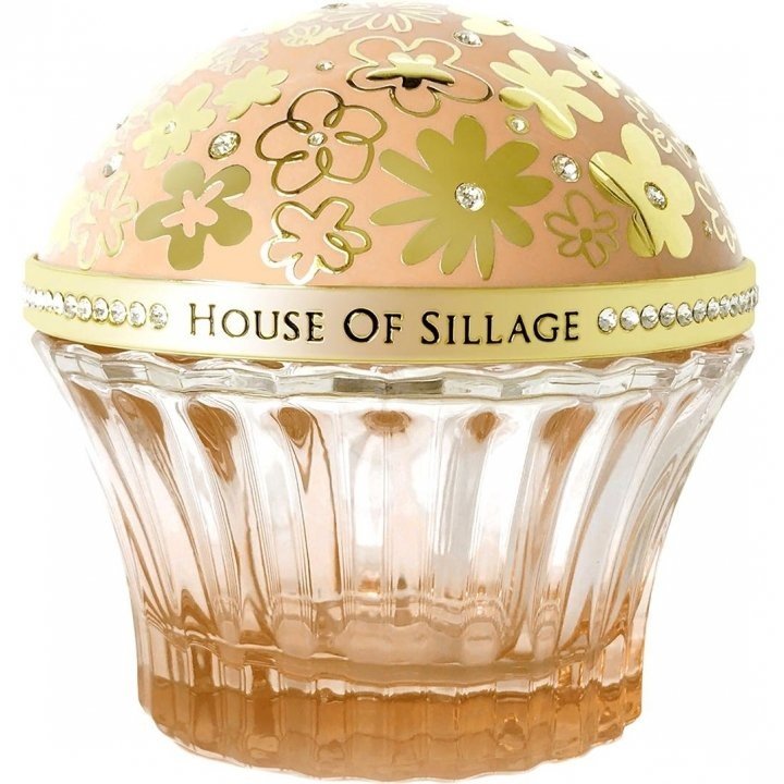 Whispers of Enlightenment